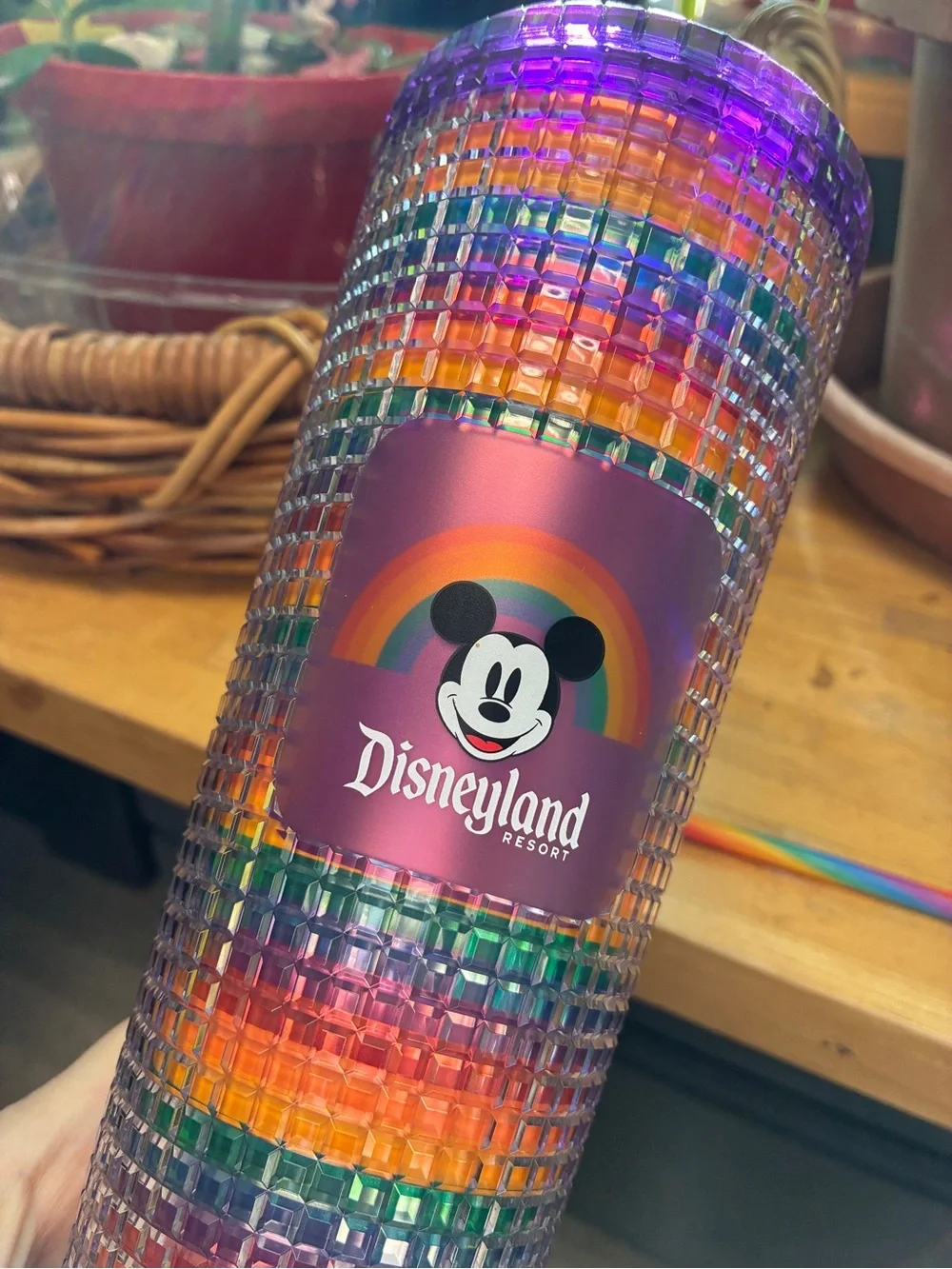 Disney Parks Starbucks Pride Tumbler Rainbow Studded Grid Venti 24oz